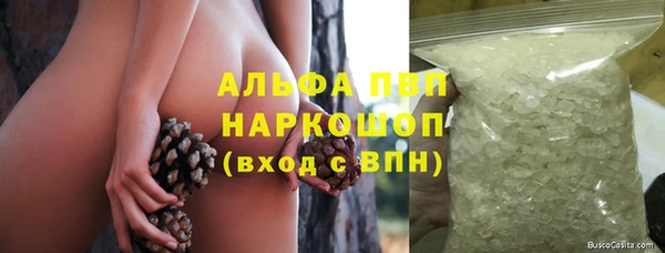 ГАЛЛЮЦИНОГЕННЫЕ ГРИБЫ Верея