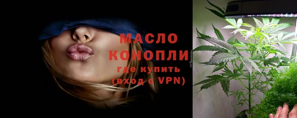 молекула духа Надым