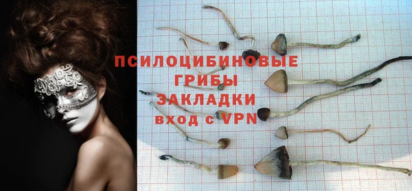 винт Нея