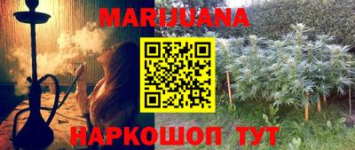 гидра Аргун