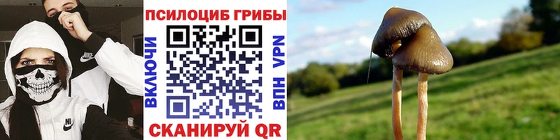 Псилоцибиновые грибы GOLDEN TEACHER  Армавир 