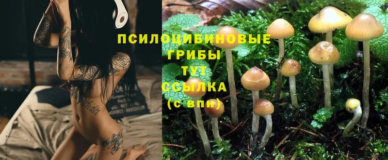 Галлюциногенные грибы MAGIC MUSHROOMS  мега зеркало  Армавир 