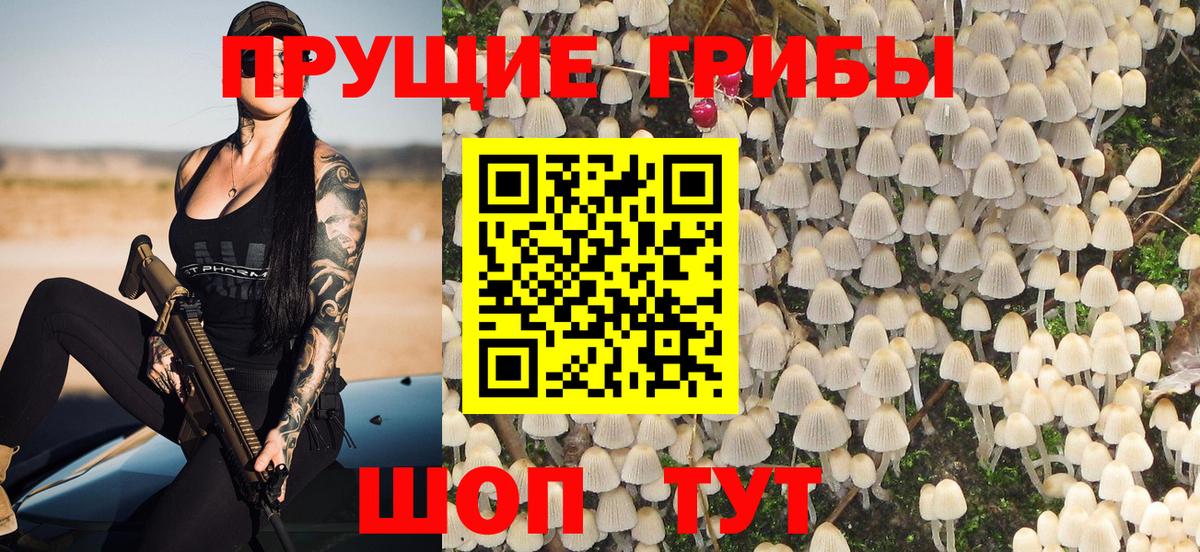 Псилоцибиновые грибы мухоморы  Псилоцибиновые грибы Psilocybe  Армавир  Вход с VPN 