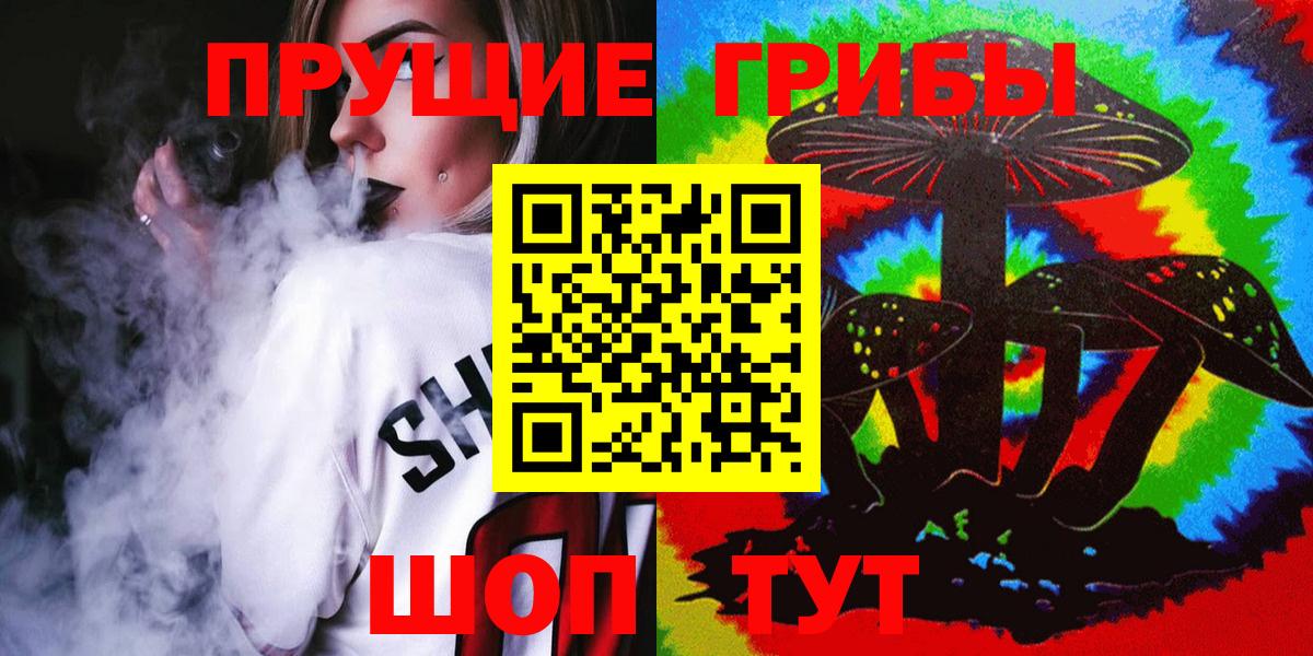 Псилоцибиновые грибы Psilocybine cubensis Армавир
